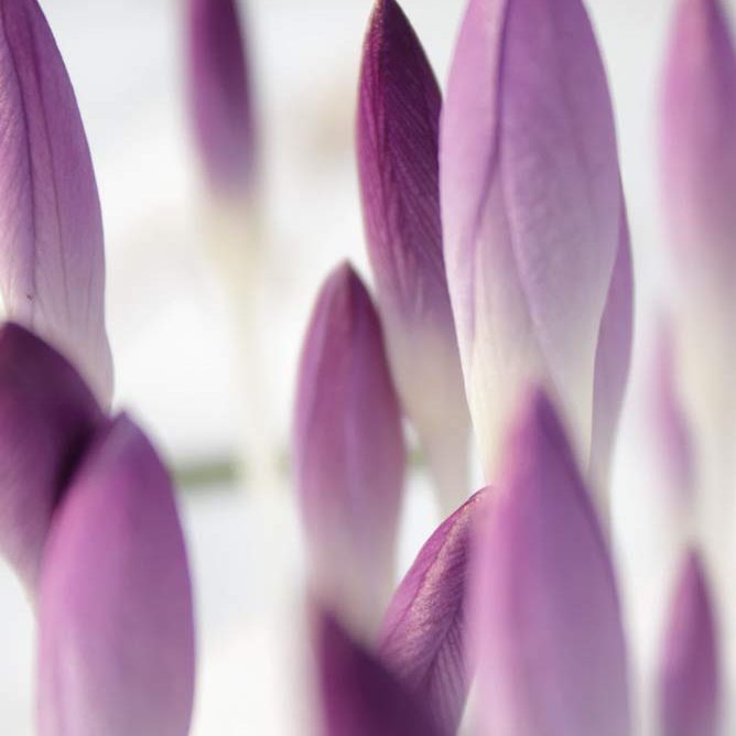 sarah-cadet-img-002 psychologue à Auzielle